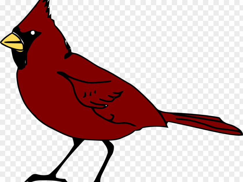 Bird Northern Cardinal Clip Art PNG