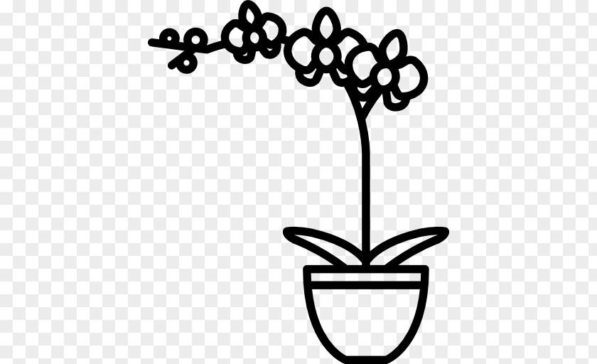 Flower Blume PNG