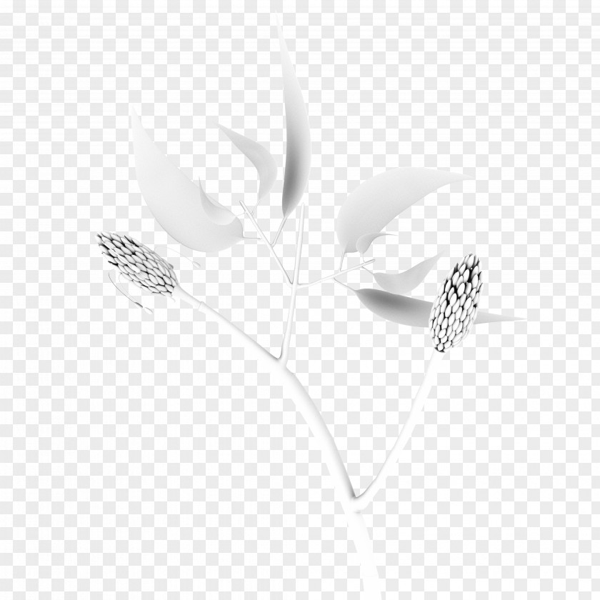Magnolia Black And White Monochrome Photography Flower Jewellery PNG