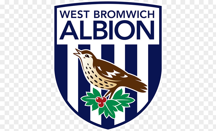 Premier League The Hawthorns West Bromwich Albion F.C. Crystal Palace Liverpool PNG
