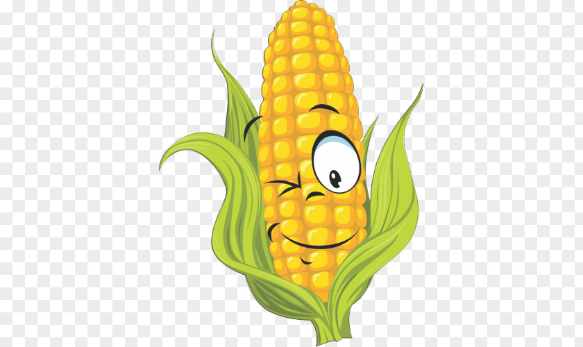 Sweet Corn Clip Art On The Cob Drawing Vector Graphics Maize PNG