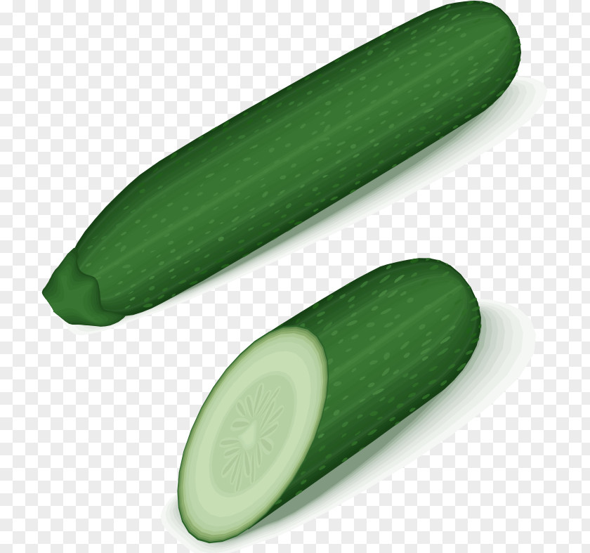 Cucumber Zucchini Clip Art PNG