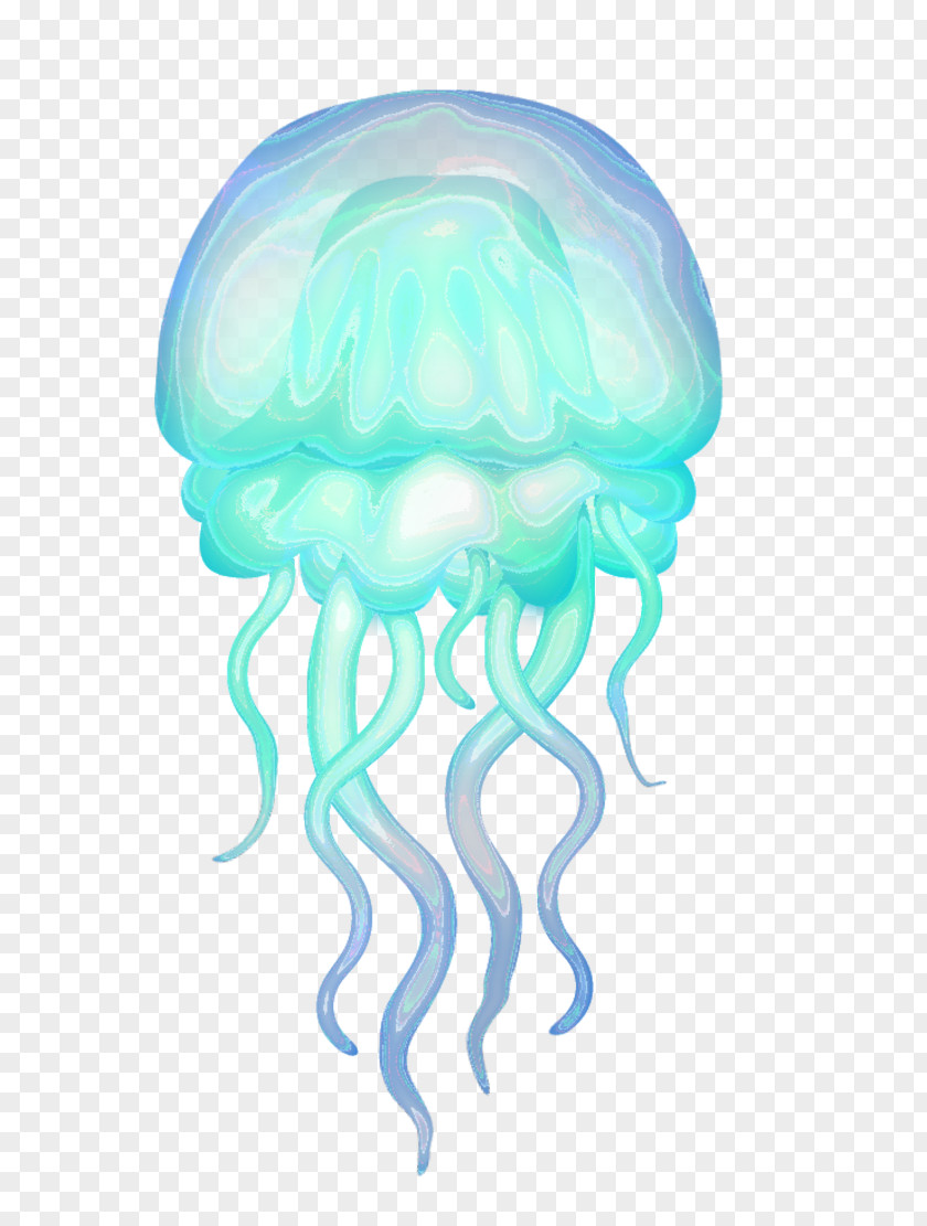 Meduse Jellyfish Image Desktop Wallpaper Adobe Photoshop PNG