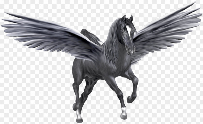 Pegasus Clip Art Desktop Wallpaper Image PNG