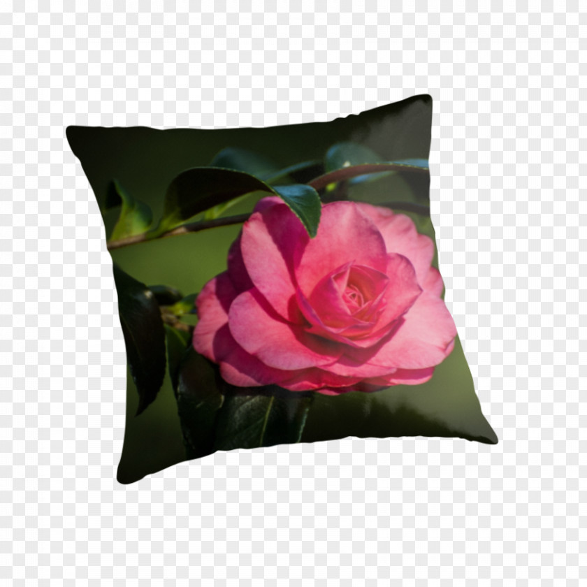 Pillow Throw Pillows Cushion Pink M RTV PNG