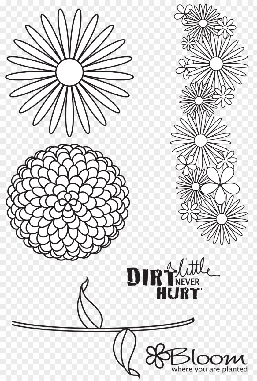 Set Bloom Drawing Visual Arts Floral Design Monochrome PNG