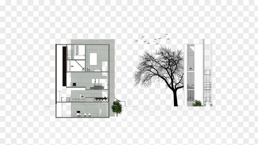 Design Architecture Property Angle PNG