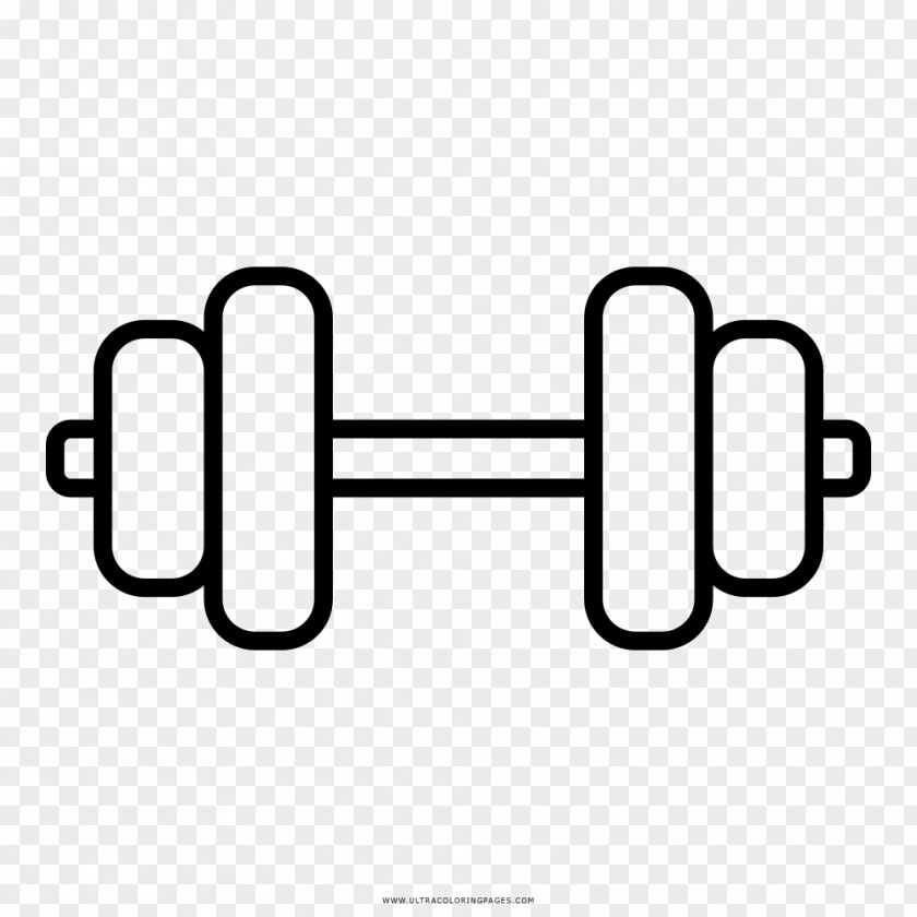 Hantel Dumbbell Barbell Olympic Weightlifting Physical Fitness Exercise PNG