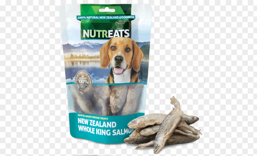 Puppy Chinook Salmon Cat Beagle Dog Food PNG