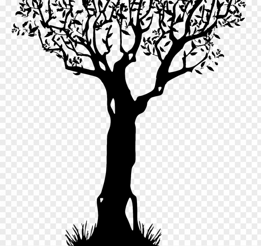 Tree Trunk Silhouette Clip Art PNG
