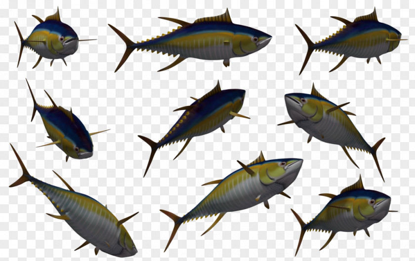 Tuna Fish Download 3D Computer Graphics PNG
