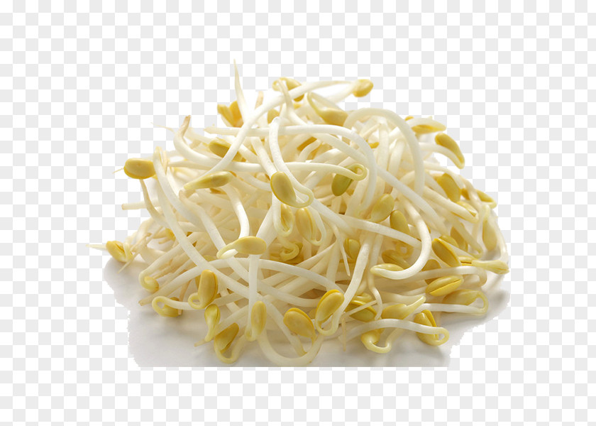 Vegetable Soybean Sprout Asian Cuisine Sprouting Mung Bean PNG