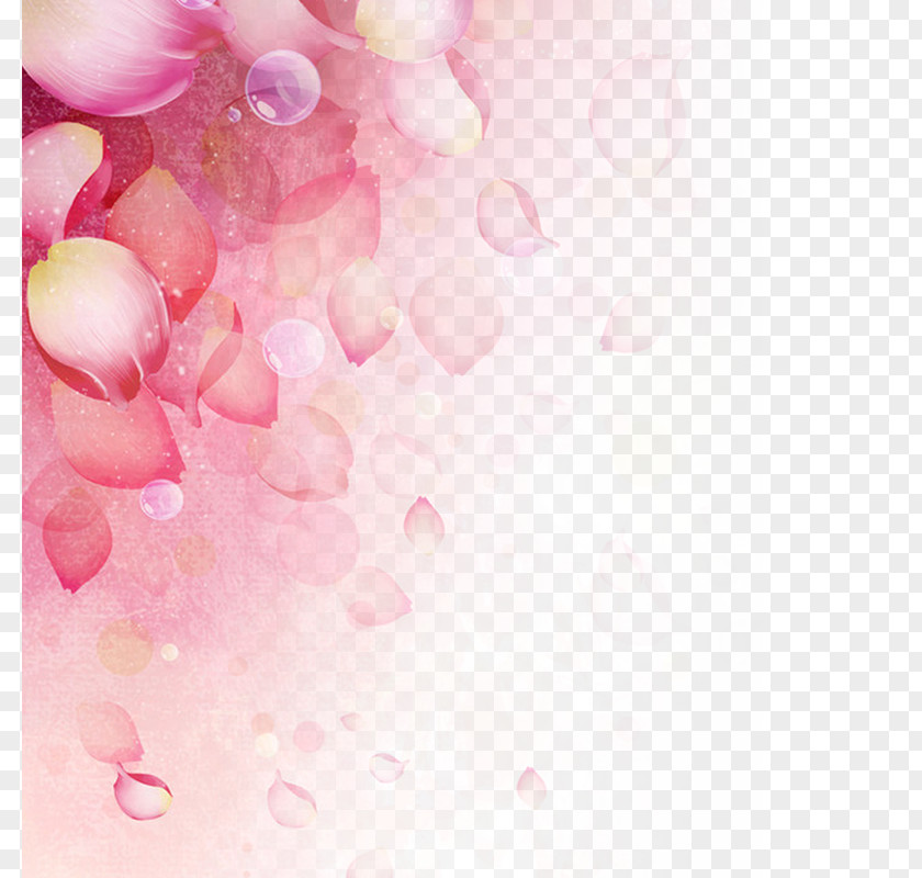 Women's Day Background PNG