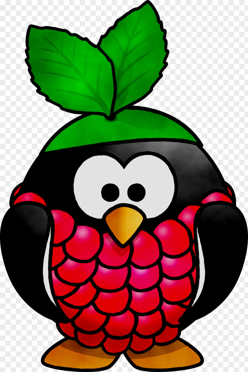 Clip Art Beak Fruit Raspberry Pi PNG