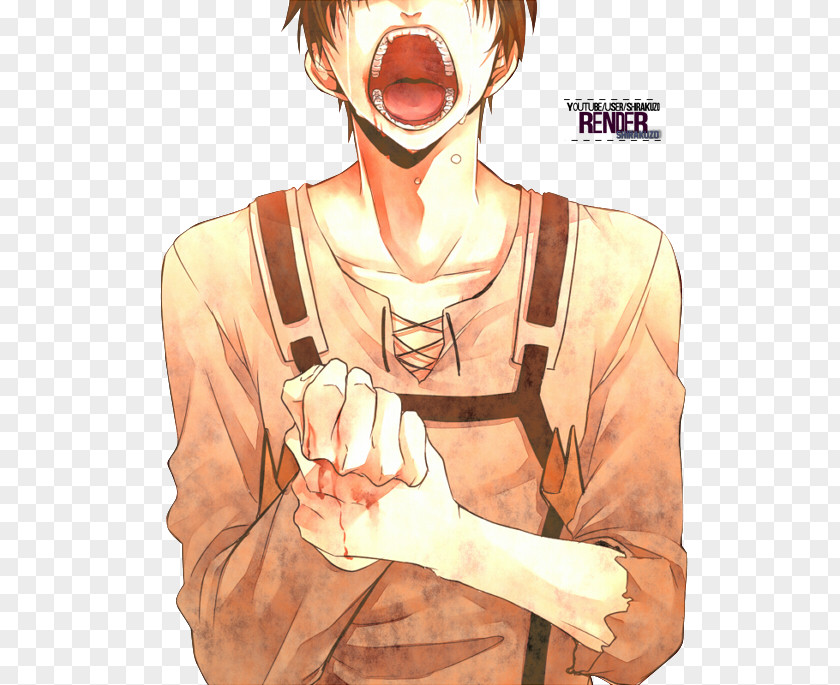 Eren Yeager Mikasa Ackerman Attack On Titan Levi PNG