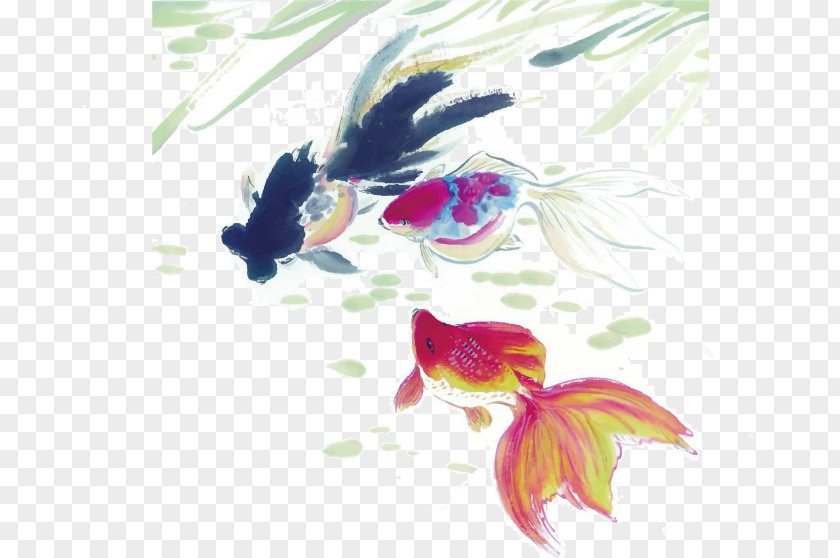 Hand-painted Fish Goldfish Ink Wash Painting Wallpaper PNG