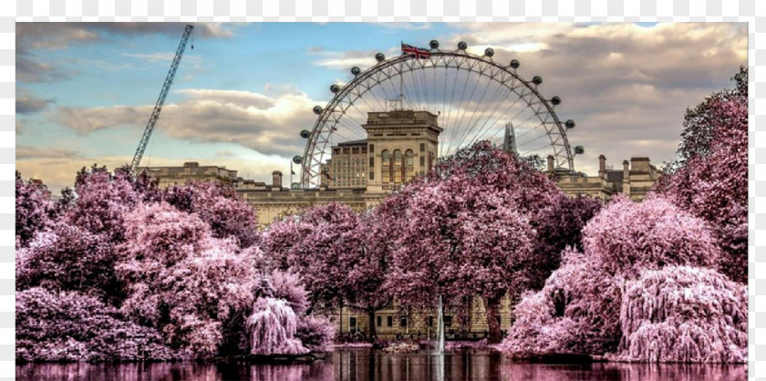 London Eye Hyde Park Big Ben Desktop Wallpaper Image Source Limited PNG