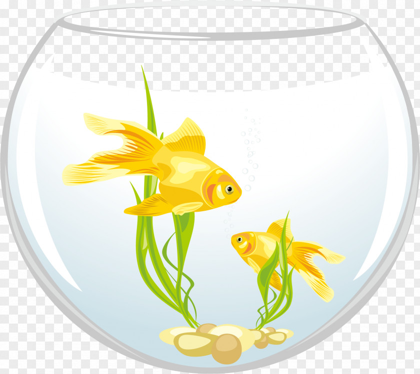 Vector Round Fish Tank Carassius Auratus Royalty-free Clip Art PNG