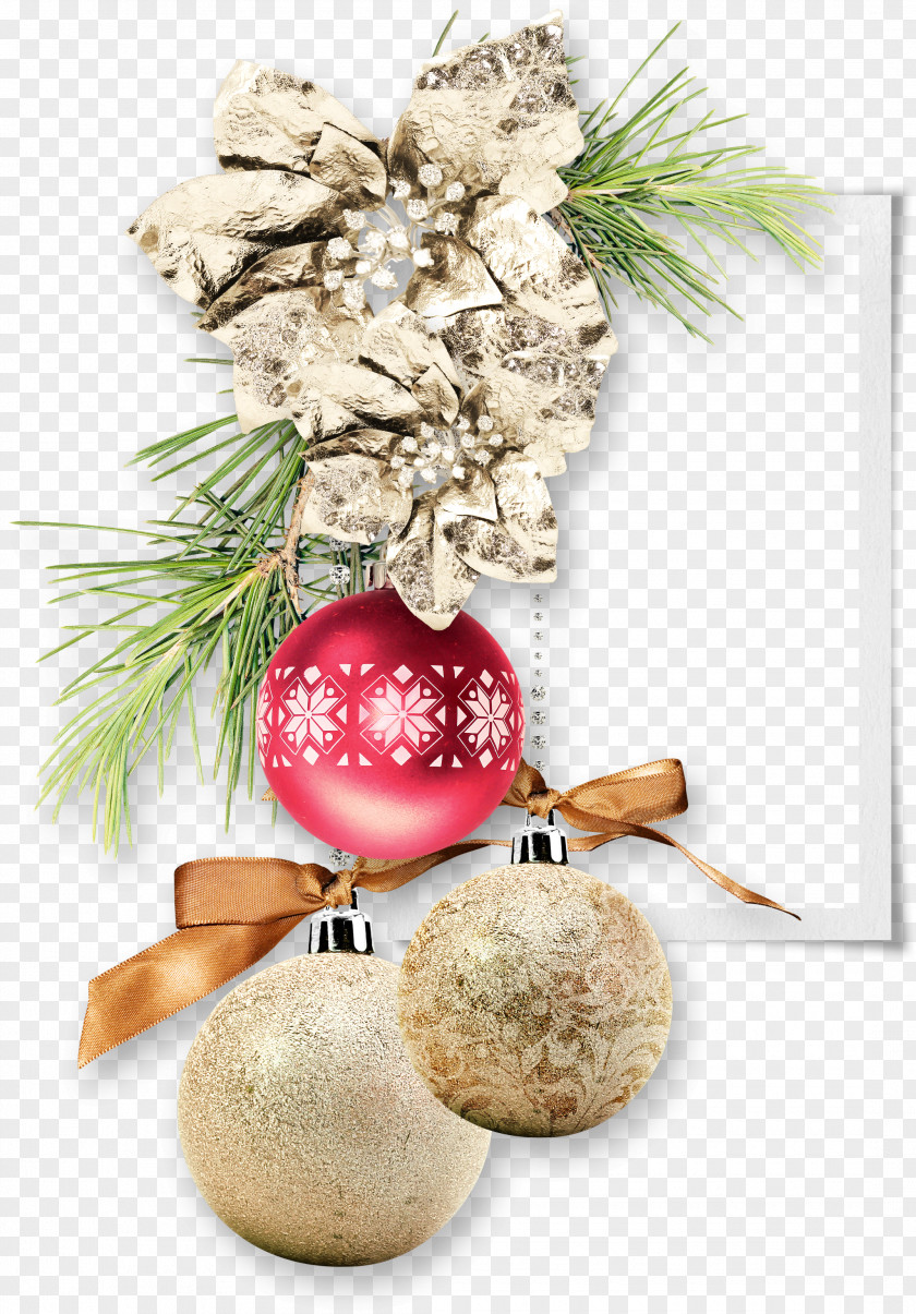 Winter Christmas Ornament Drawing Cartoon PNG