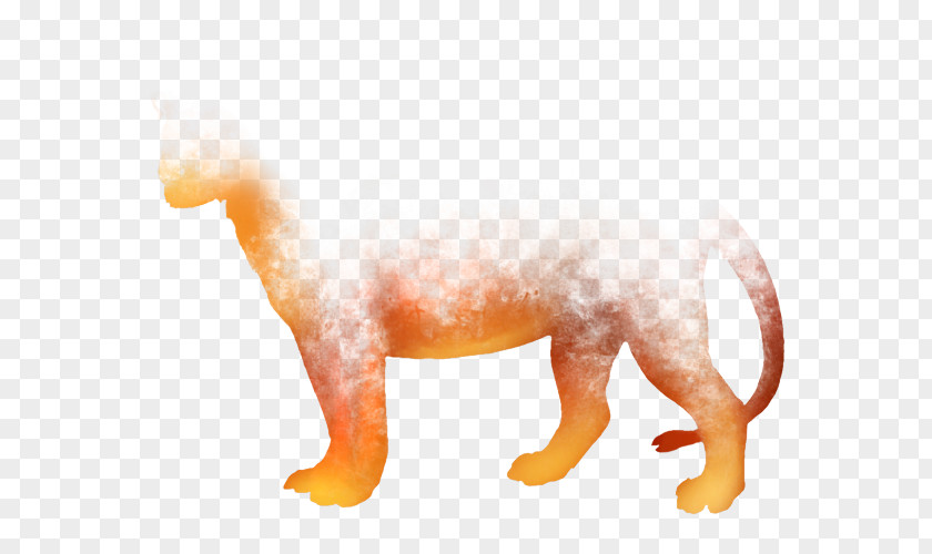 Cat Canidae Dog Snout Tail PNG