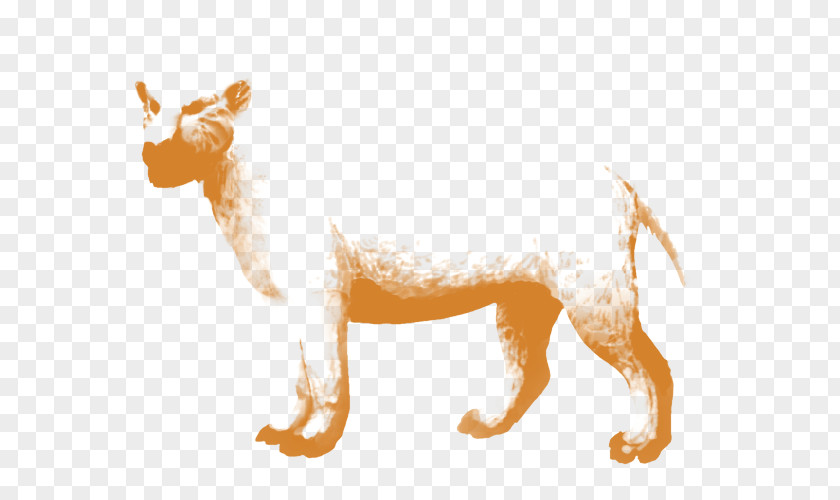 Dog Breed Cat Snout PNG