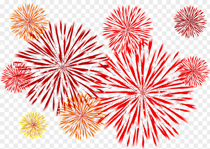 Fireworks Adobe Euclidean Vector PNG