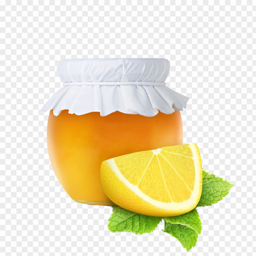 Grapefruit Lemon Juice Citron Pomelo PNG