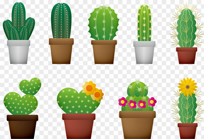 Hippeastrum Clipart Cactus Illustration Succulent Plant Plants Design PNG
