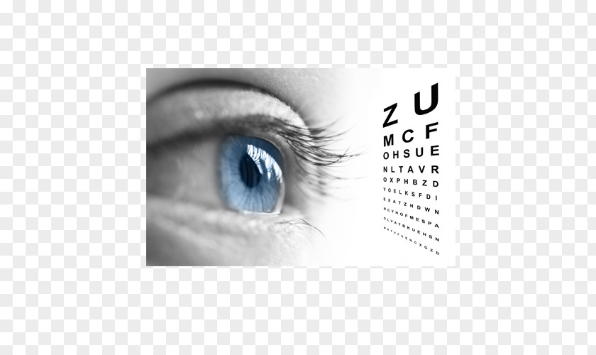 Looking To The Future Eye Examination Optometry Visual Perception Care Professional PNG
