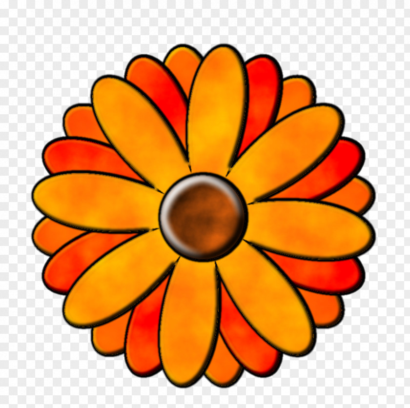 Orange Daisy Lotte Home Shopping Inc. Cut Flowers Symmetry Petal Clip Art PNG