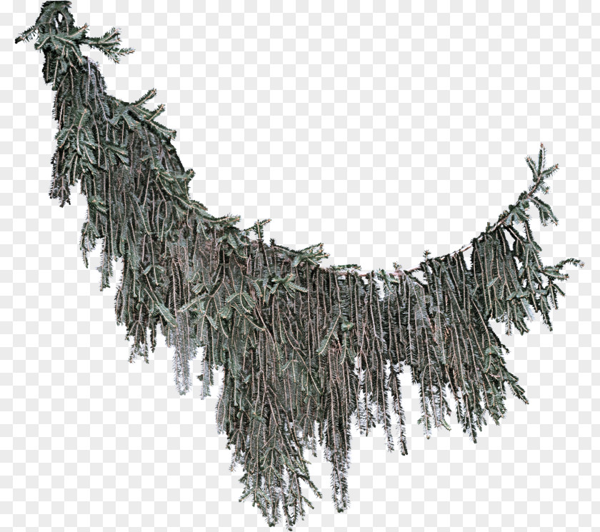 Pine Family Tree Twig Branch Plant Necklace PNG