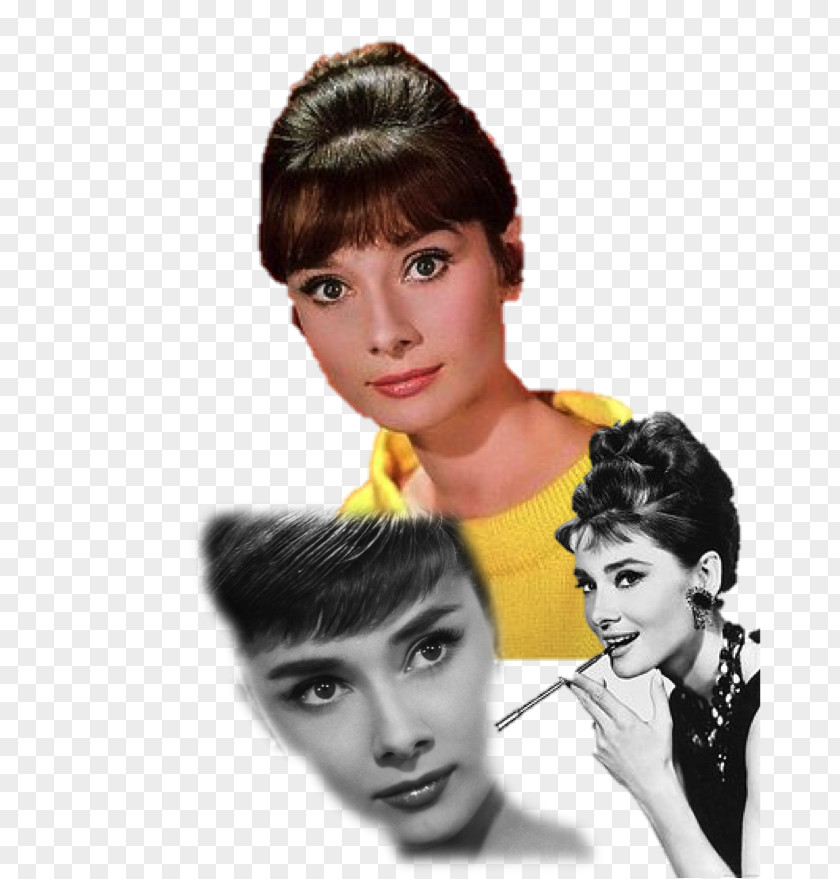 Audrey Hepburn Breakfast At Tiffany's Truman Capote Paris When It Sizzles William Holden PNG