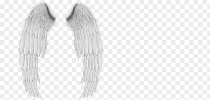 Centerblog Painting Angel Wing PNG