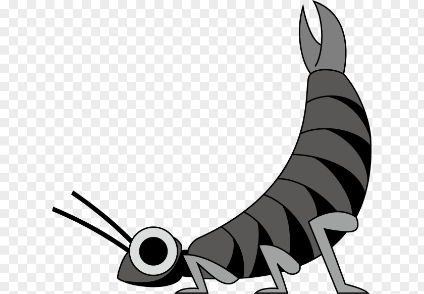 Earwigs Insect Clip Art Horse Canidae Dog Fauna PNG