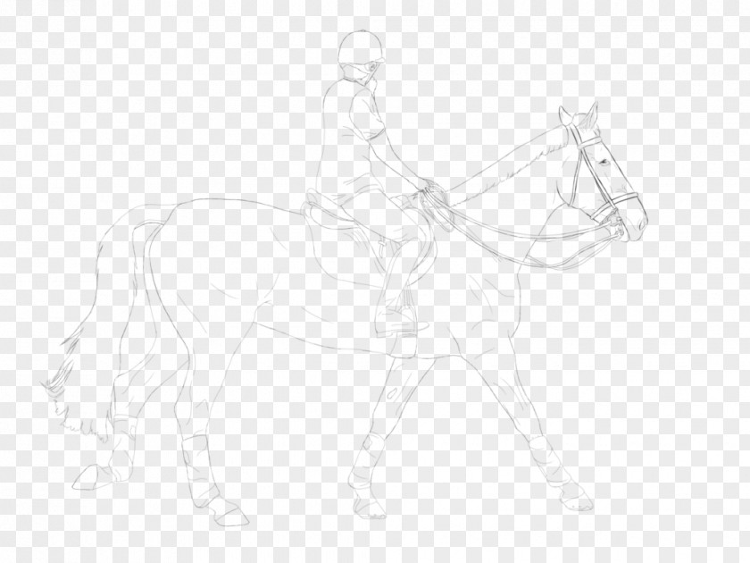 Horseback Riding Bridle Mane Mustang Halter Sketch PNG