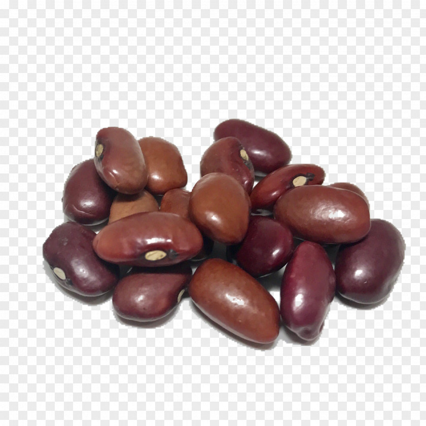 Soybean Heirloom Beans Shady Side Farm Inc Plant Cocoa Bean PNG