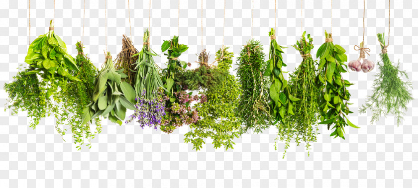 Vegetable Herbes De Provence Health PNG
