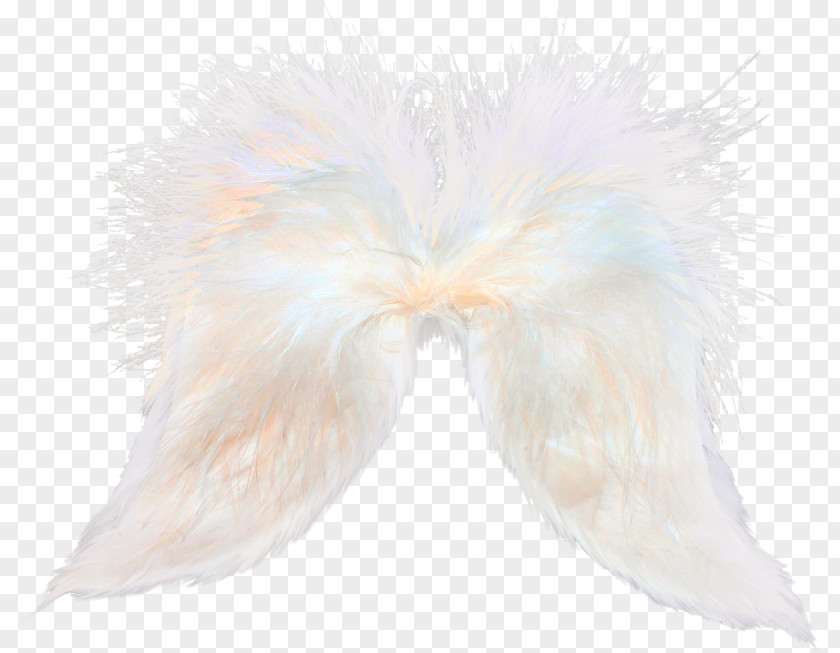 White Feathers Feather Flight Bird PNG