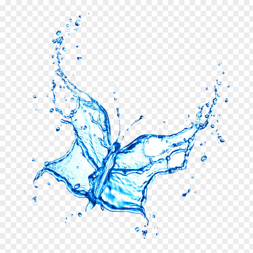 Creative Butterfly Water Stock Photography Drop PNG