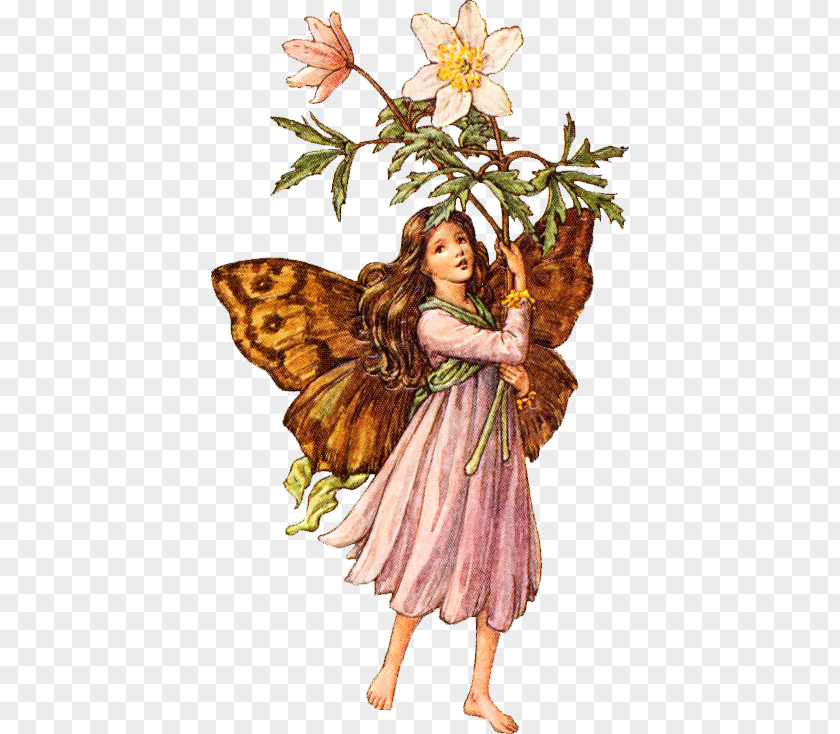 Fairy Harry Potter Flower Fairies Of The Summer Goblin PNG