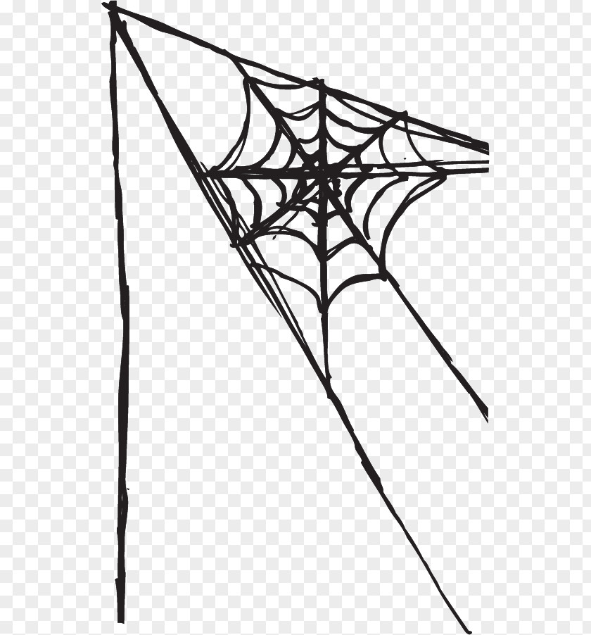 Halloween Line Art Spider Web Clip PNG