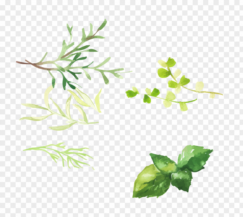 Hand Painted Grass PNG