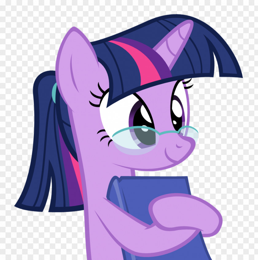 Unicorn Sparkle Twilight Pinkie Pie Pony Rainbow Dash Rarity PNG