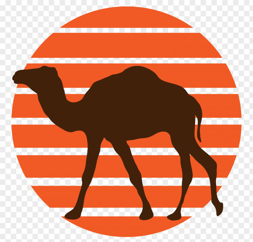 Camel Appalachian National Scenic Trail Hiking PNG