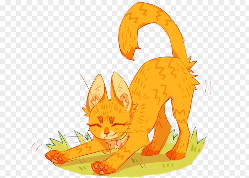 Cat Kitten Whiskers Warriors Drawing PNG