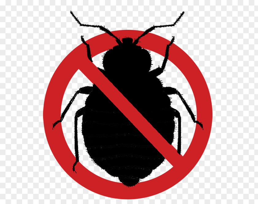 Elimination Of Blood Germs Bedbug Insect Bed Frame Bug Bite PNG