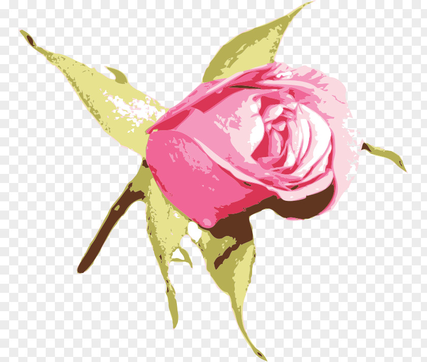 Shimmery Rose Pink Blue Clip Art Flower Garden Roses PNG