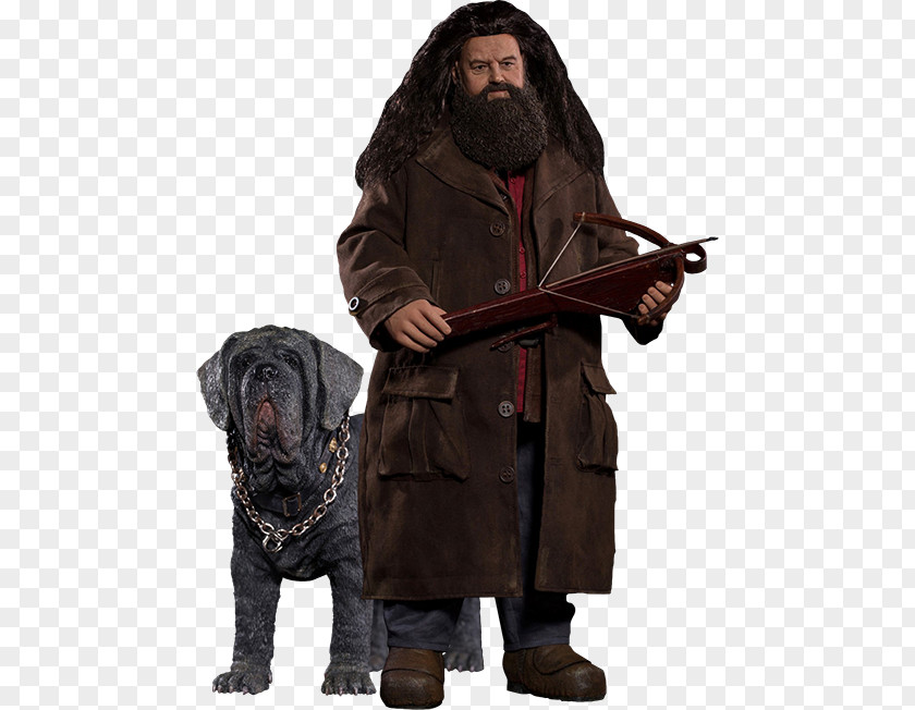 Sirius Black Robbie Coltrane Rubeus Hagrid Harry Potter And The Philosopher's Stone Action & Toy Figures PNG