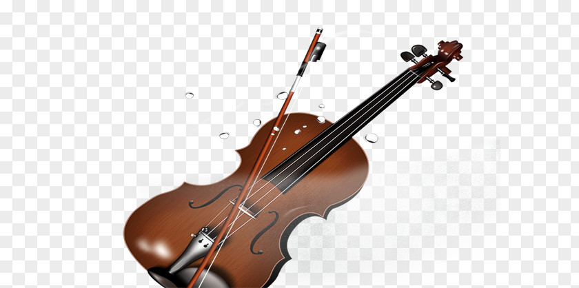 Violin Bass Viola Double Violone PNG