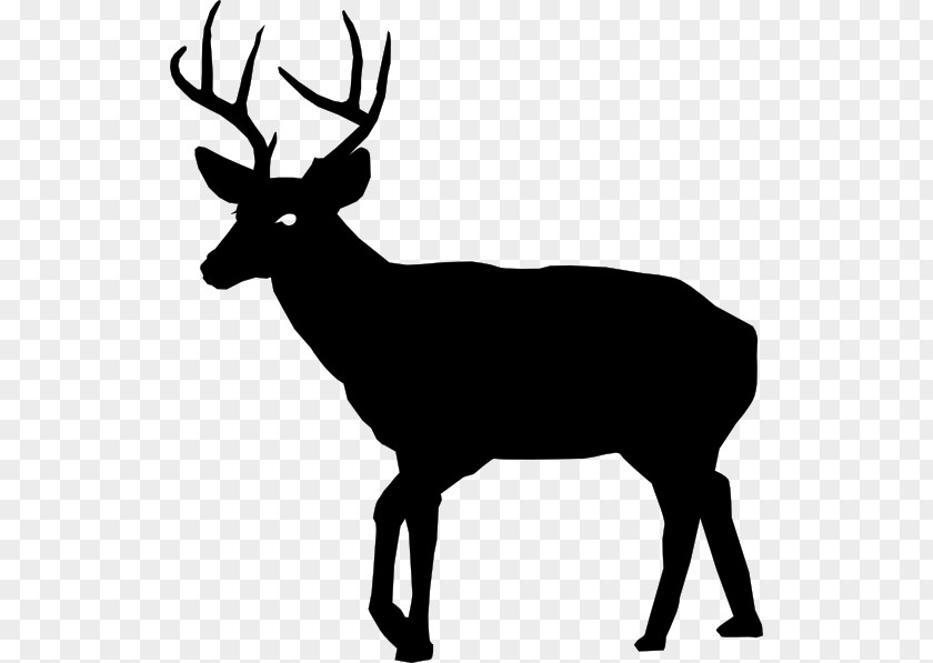 Deer Vector White-tailed Hunting Clip Art PNG